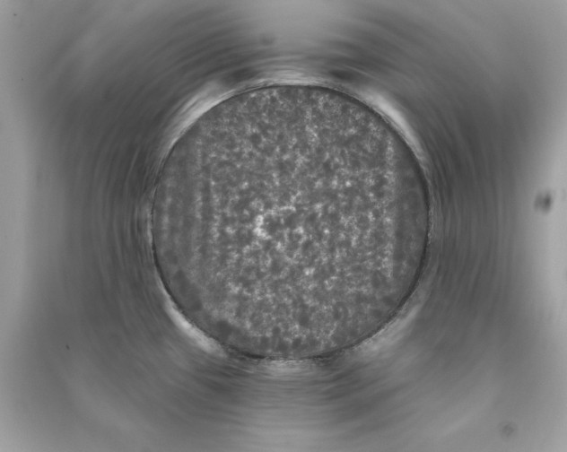 X0000090771433200708101800