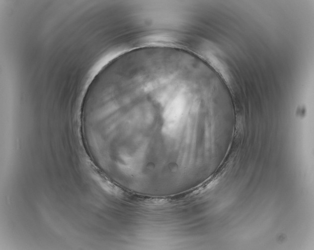 X0000090771435200708101800