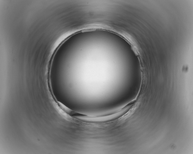 X0000090771438200708101800