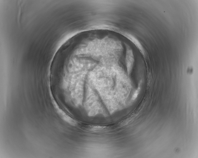 X0000090771439200708101800