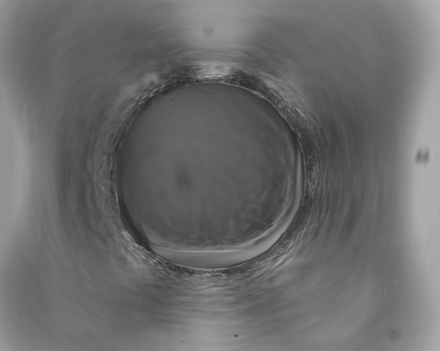 X0000090771441200708101759