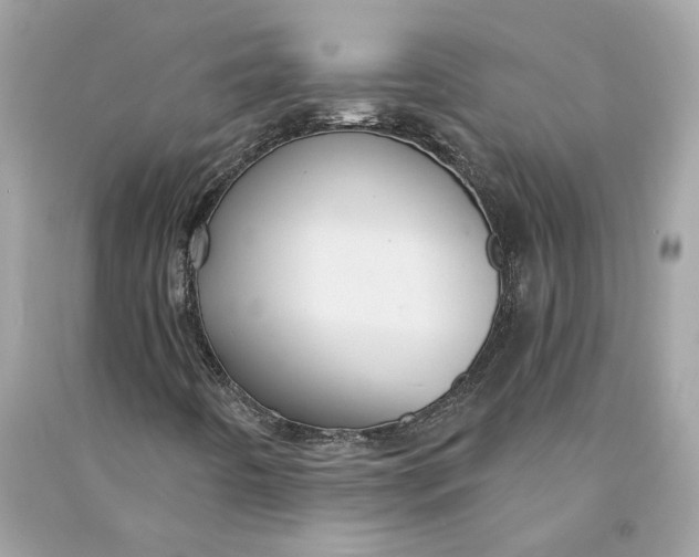 X0000090771442200708101759