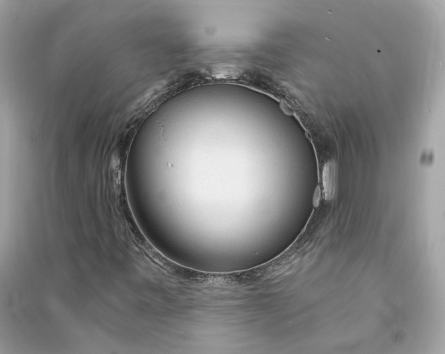 X0000090771443200708101759