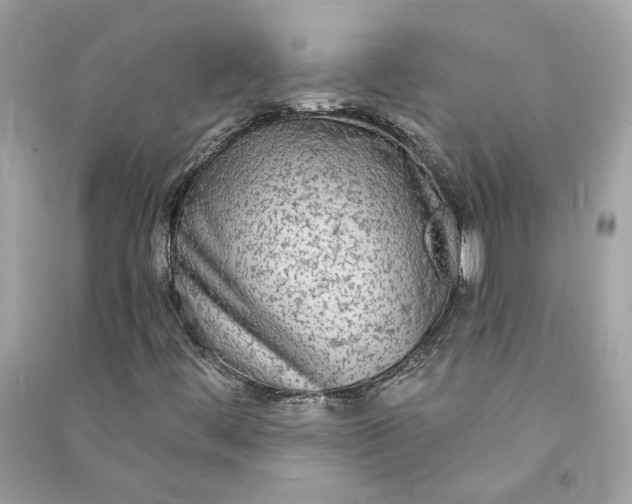 X0000090771444200708101759