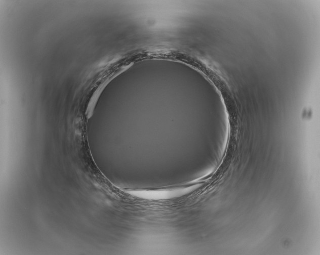 X0000090771445200708101759