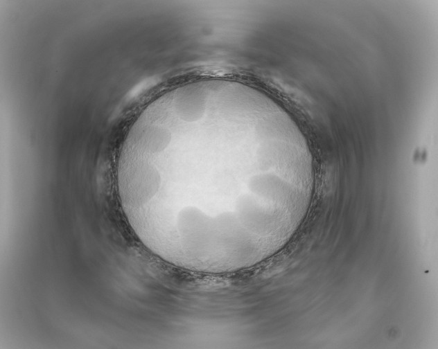 X0000090771446200708101759
