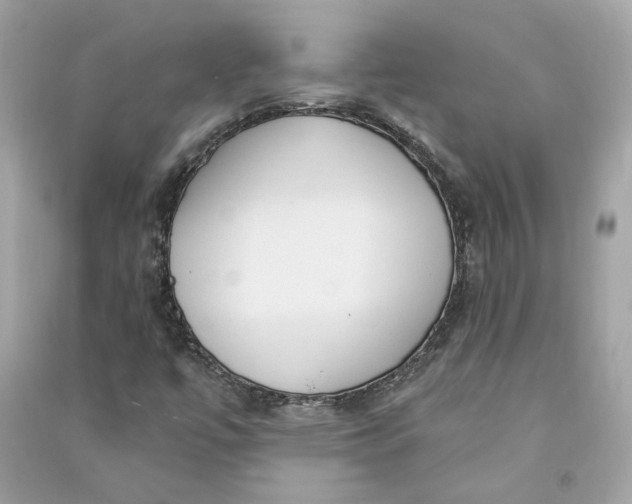 X0000090771447200708101759