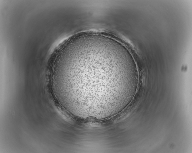 X0000090771448200708101759