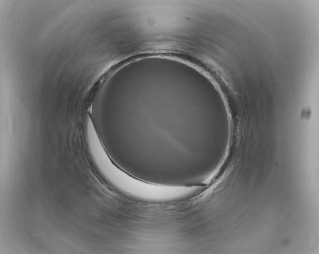 X0000090771449200708101759