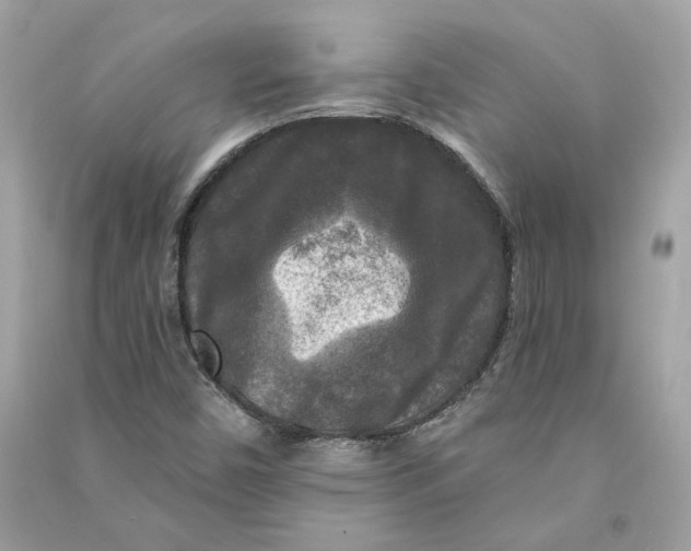 X0000090771450200708101759