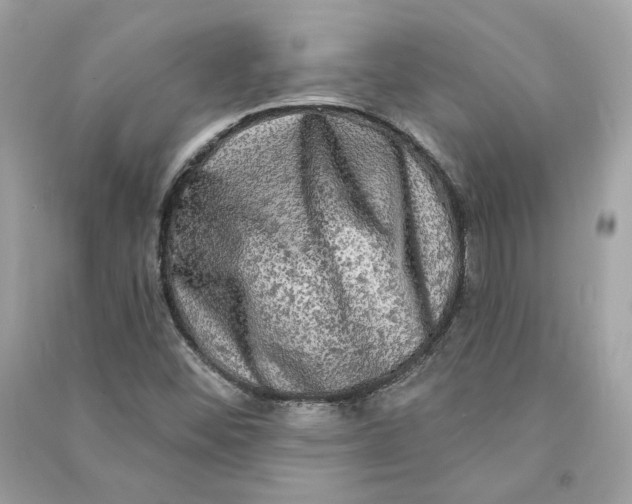 X0000090771452200708101759
