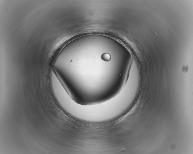 X0000090771453200708101759