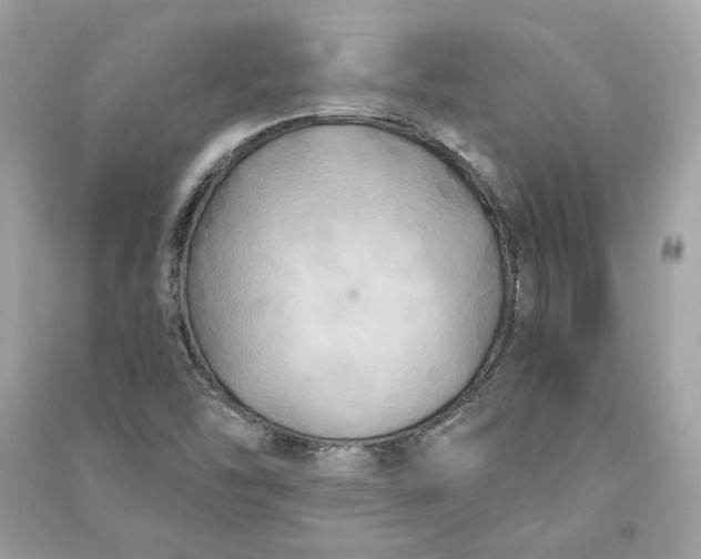 X0000090771454200708101759