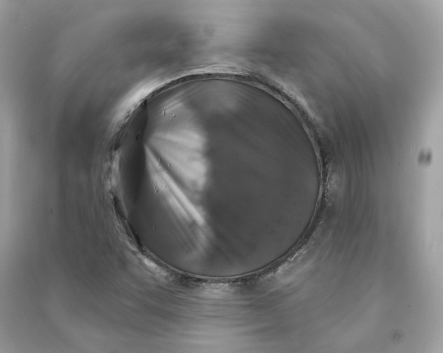 X0000090771455200708101759