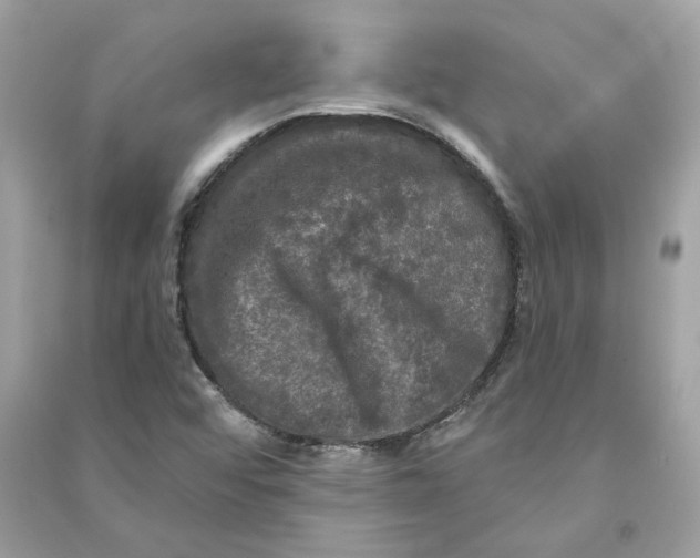 X0000090771456200708101759