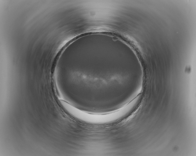 X0000090771457200708101759