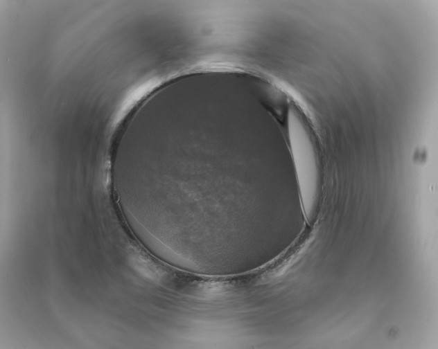 X0000090771461200708101759