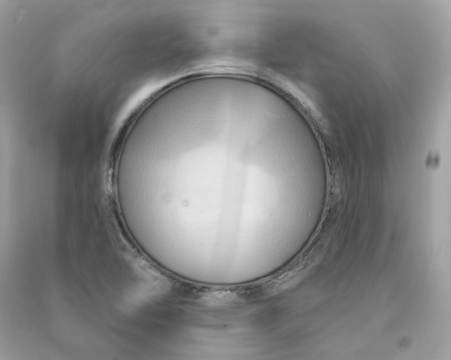 X0000090771462200708101759