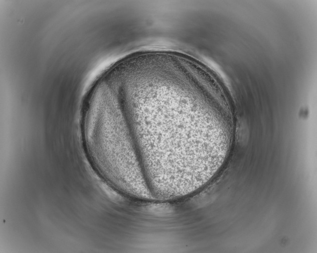 X0000090771464200708101759