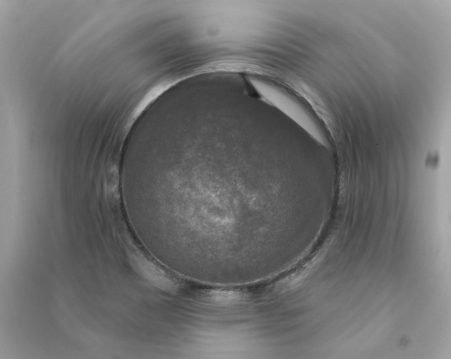 X0000090771465200708101759