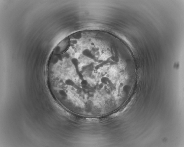 X0000090771467200708101759