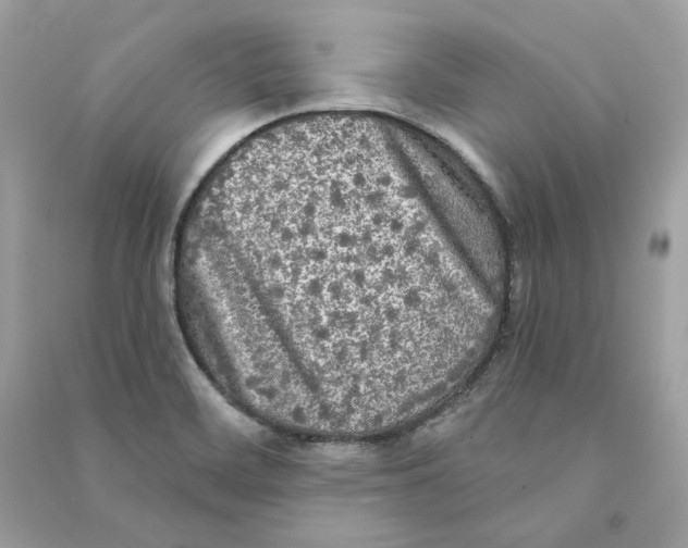 X0000090771468200708101759