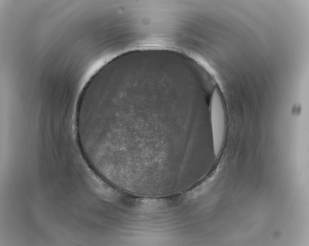 X0000090771469200708101759