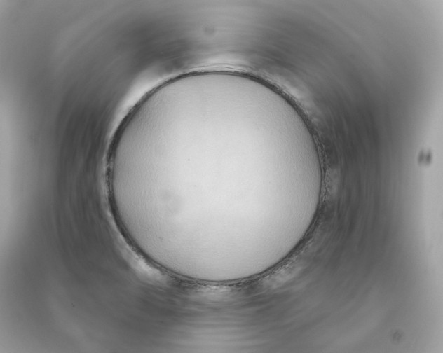 X0000090771470200708101759