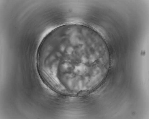 X0000090771471200708101759