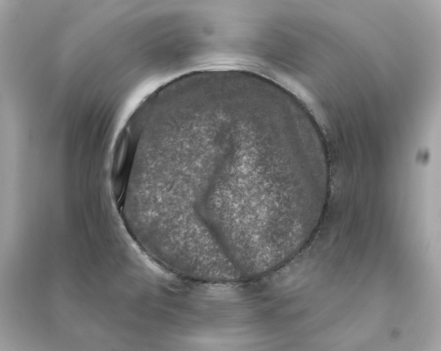 X0000090771472200708101759