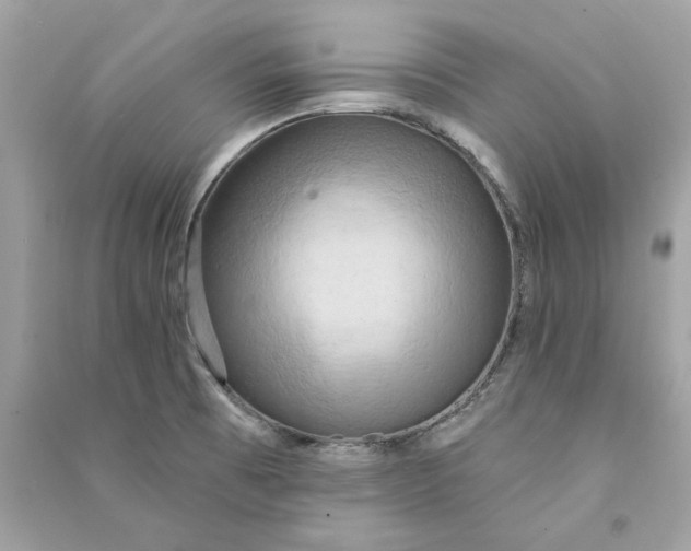 X0000090771473200708101759