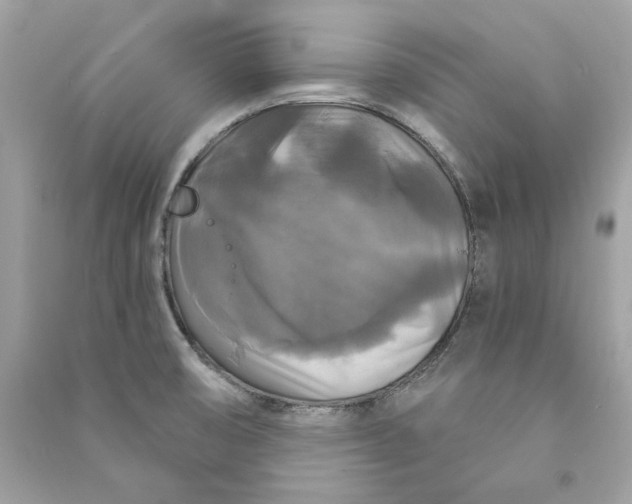 X0000090771474200708101759