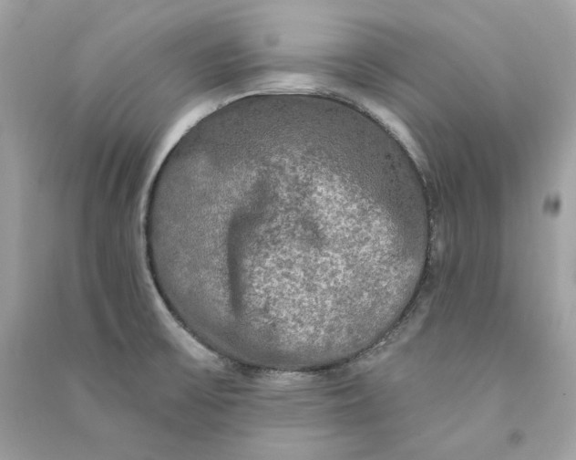 X0000090771475200708101759