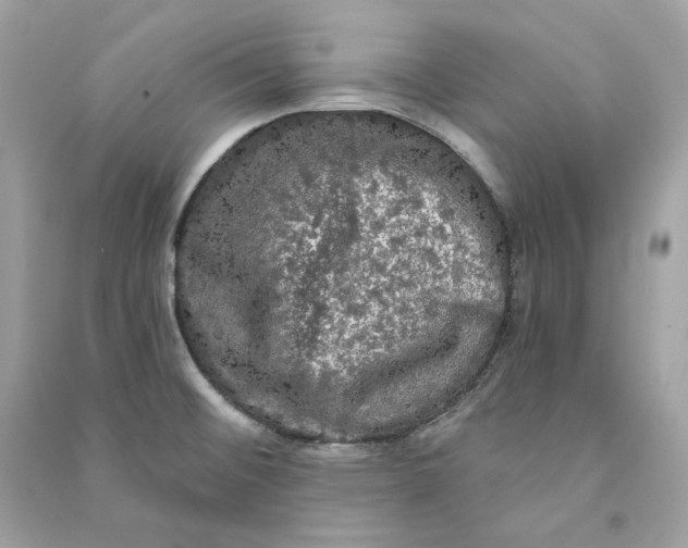 X0000090771476200708101759