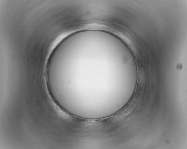 X0000090771478200708101759