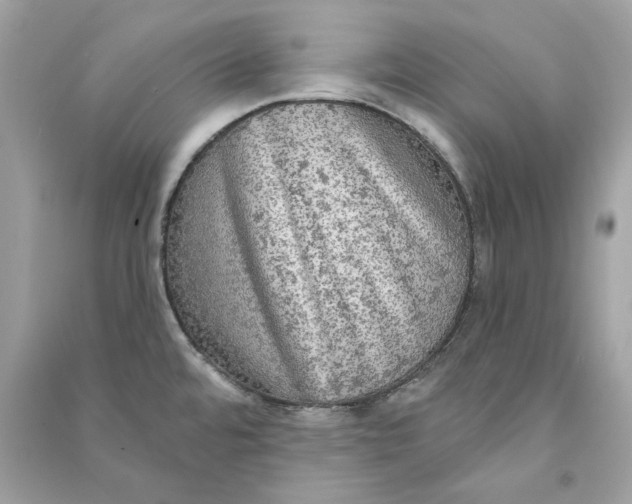 X0000090771480200708101759