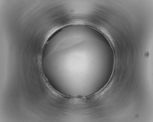 X0000090771481200708101759
