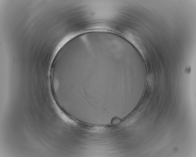 X0000090771482200708101759