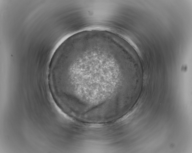 X0000090771484200708101758