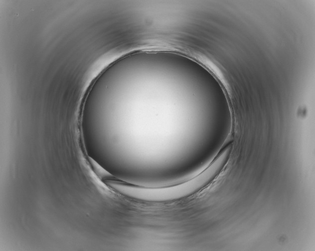 X0000090771485200708101758