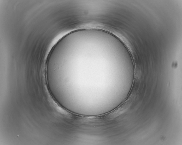 X0000090771486200708101758
