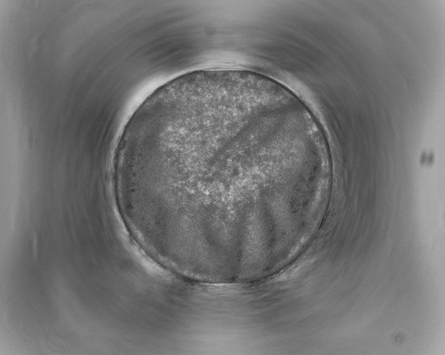 X0000090771488200708101758