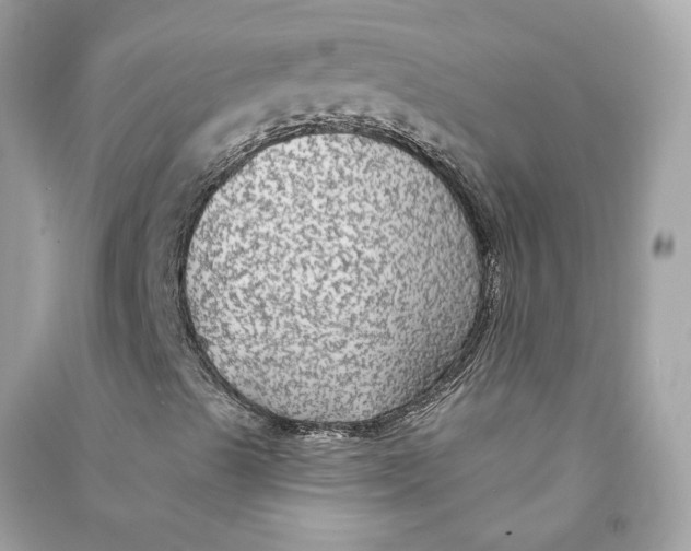 X0000090771489200708101758