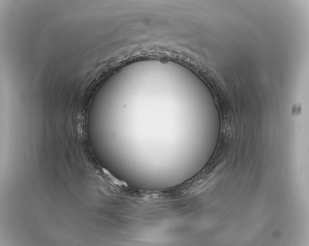 X0000090771490200708101758