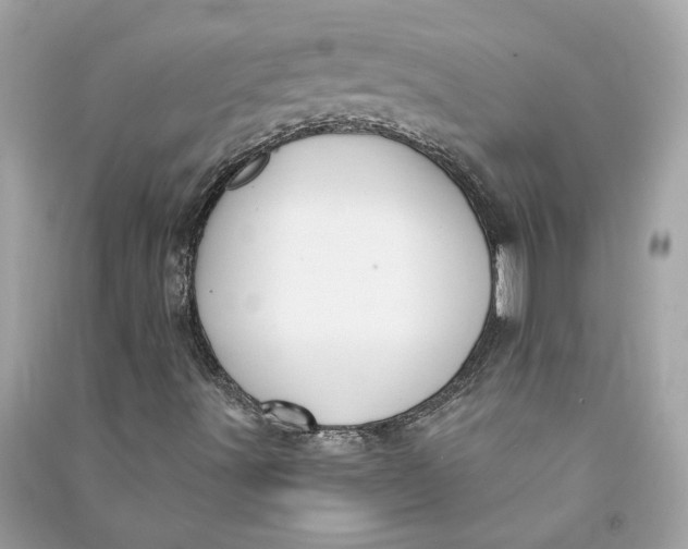 X0000090771491200708101758