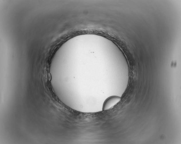 X0000090771493200708101758