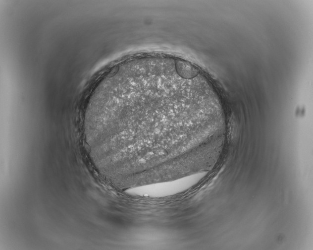 X0000090771494200708101758