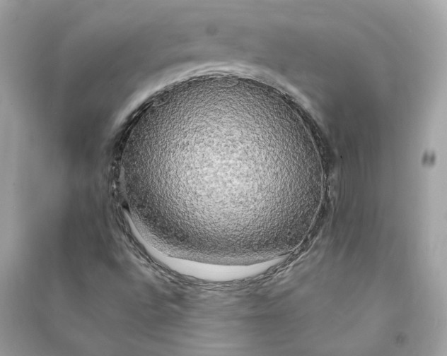 X0000090771496200708101758