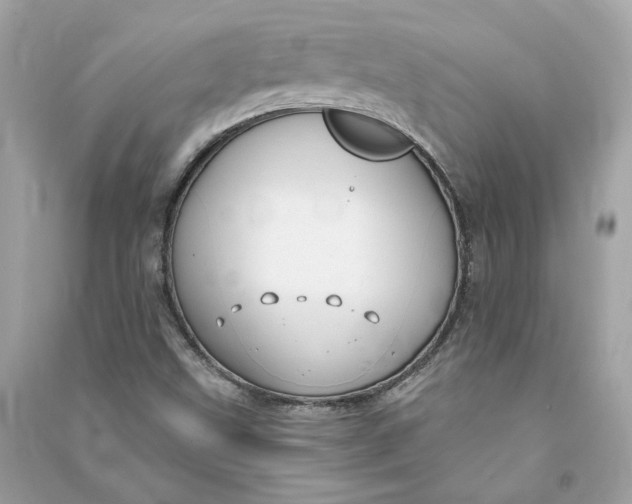 X0000090771499200708101758