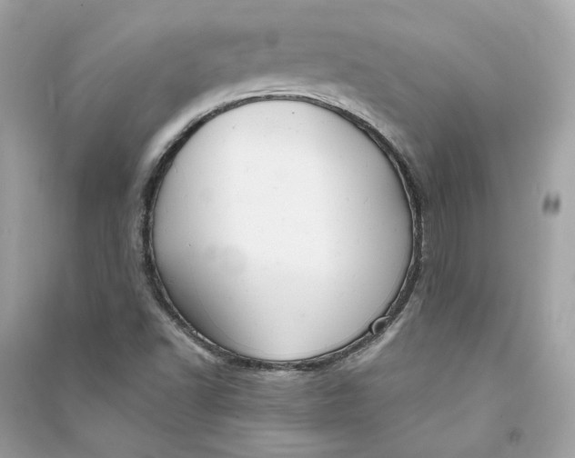 X0000090771502200708101758